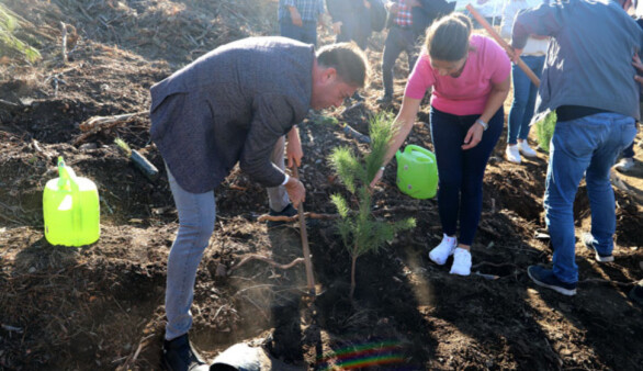 Bayındır’da 'Milli Ağaçlandırma Günü' kapsamında ağaçlandırma etkinliği yapıldı