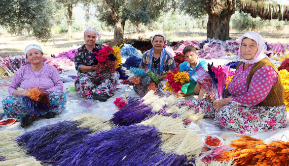 Bayındır-Turan Mahallesi Nergis ve Kuru Çiçek Festivali 2. yılında