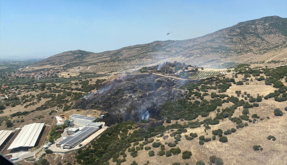 İzmir Menemen'de ormanlık alanda çıkan yangın kontrol altına alındı