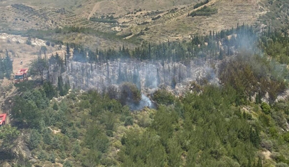 İzmir Seferihisar'daki orman yangını kontrol altına alındı