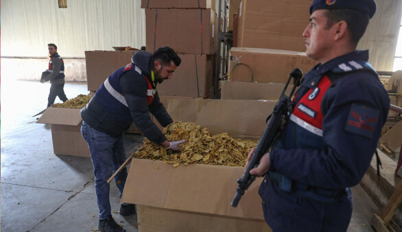 İzmir'de bir depoda 39 ton 601 kilogram kaçak tütün ele geçirildi