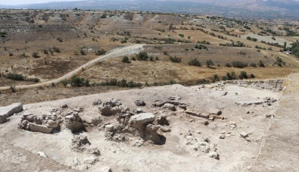 Denizli'deki arkeolojik kazıda yaklaşık 3500 yıllık üzüm çekirdeği kalıntısı bulundu