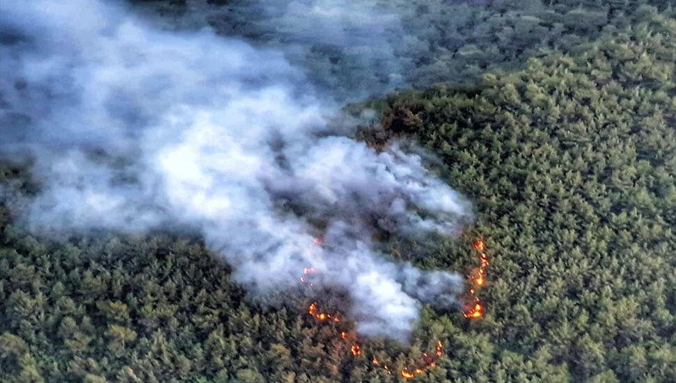 İzmir'de çıkan orman yangınına havadan ve karadan müdahale ediliyor