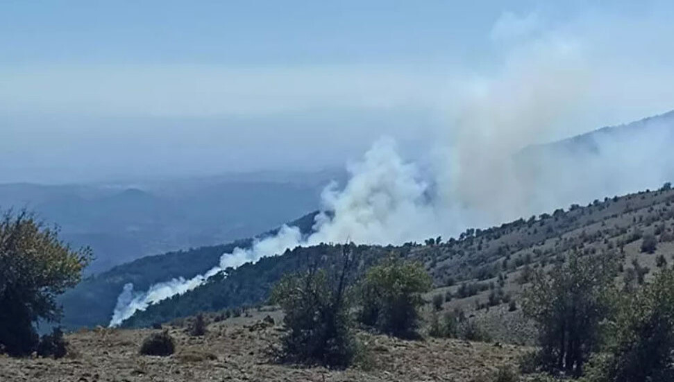 Bergama'da orman yangını!