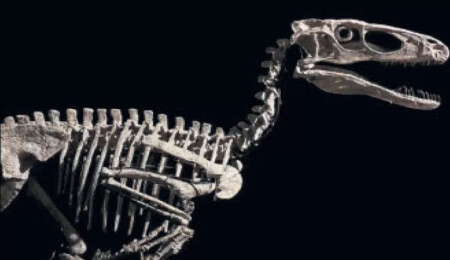 Ünlü dinozorun iskeletine 12.4 milyon $