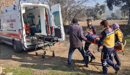 İzmir'de ağaçtan düşen kişi yaralandı