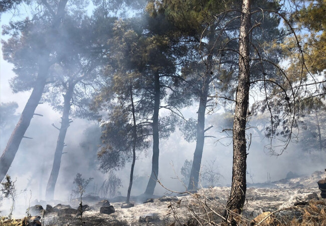 Kiraz'da ormanlık alanda çıkan yangın kontrol altına alındı