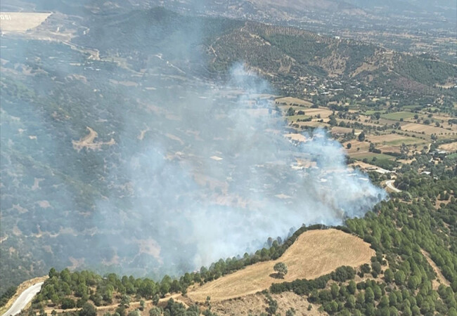 İzmir'deki orman yangını kontrol altına alındı