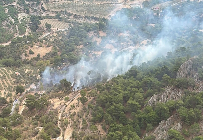 İzmir'de çıkan orman yangını kontrol altına alındı