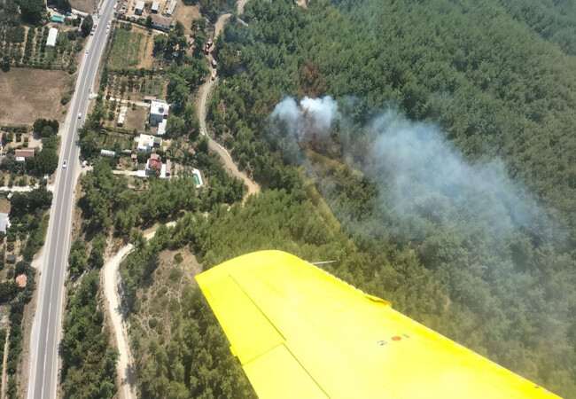 Menderes'te orman yangını kontrol altına alındı